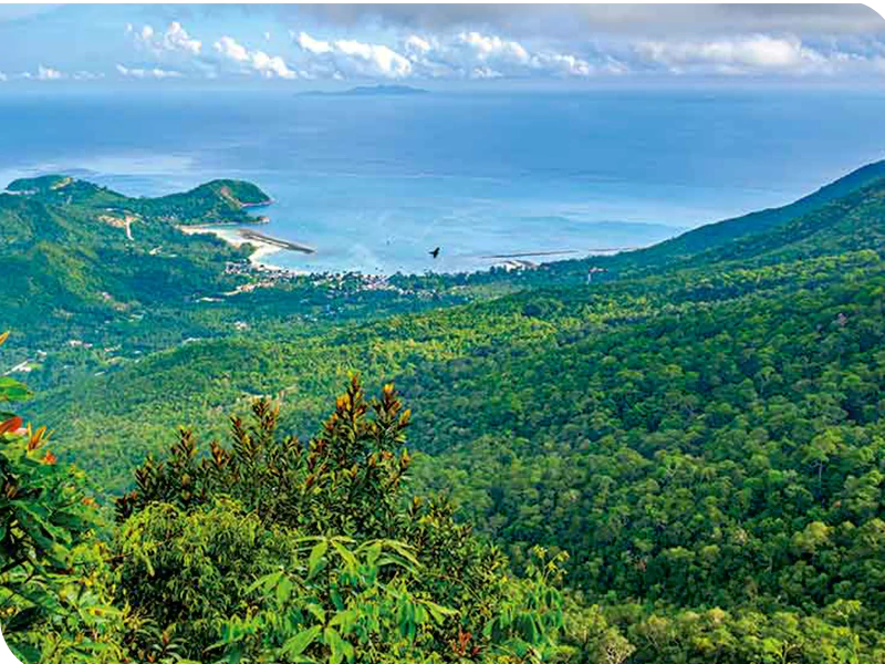 Ko Phangan nature trails jungle waterfall Than Sadet