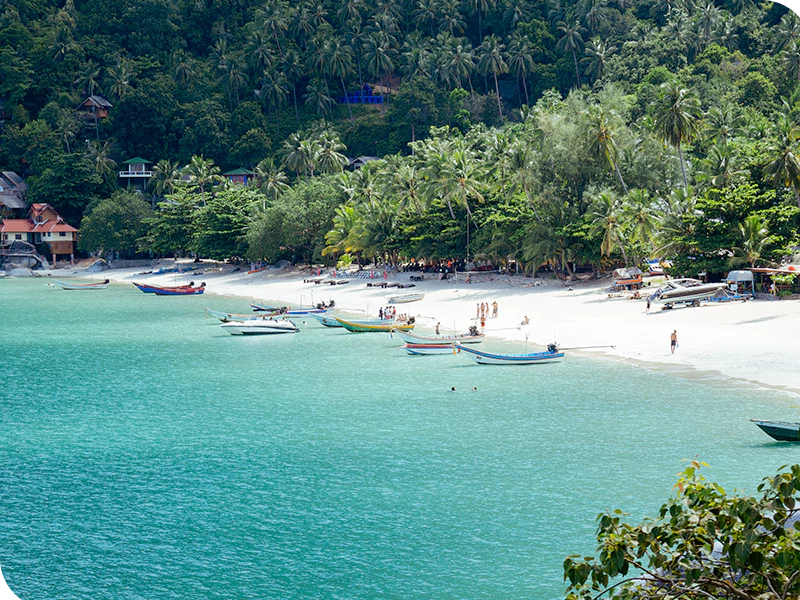 Ko Phangan palm beach aerial view Thailand