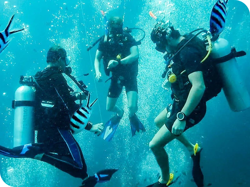 Scuba diving Ko Phangan Angthong Marine Park Thailand